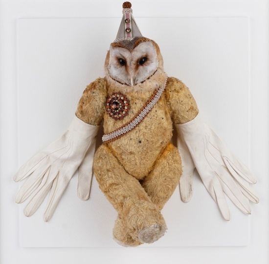 dating a taxidermist